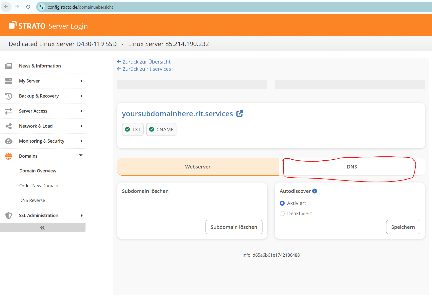DNS tab